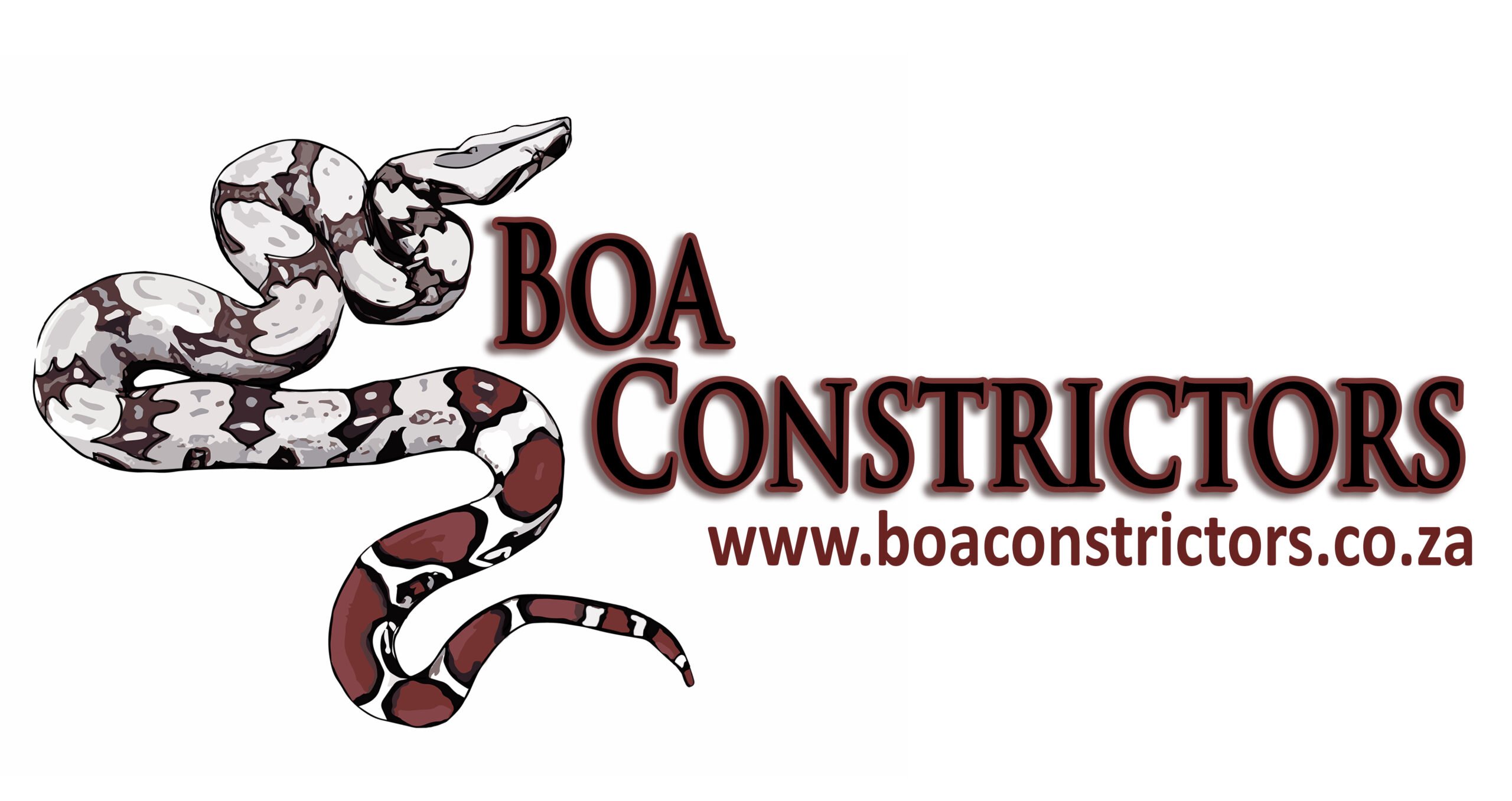 Boaconstrictors.co.za